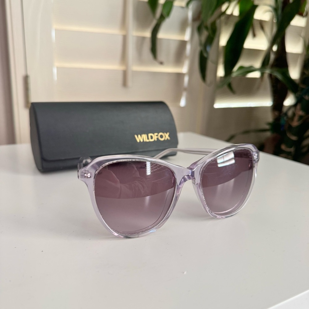 Wildfox Parker Oversized Sunglasses in Clear Frames with Darker Lenses